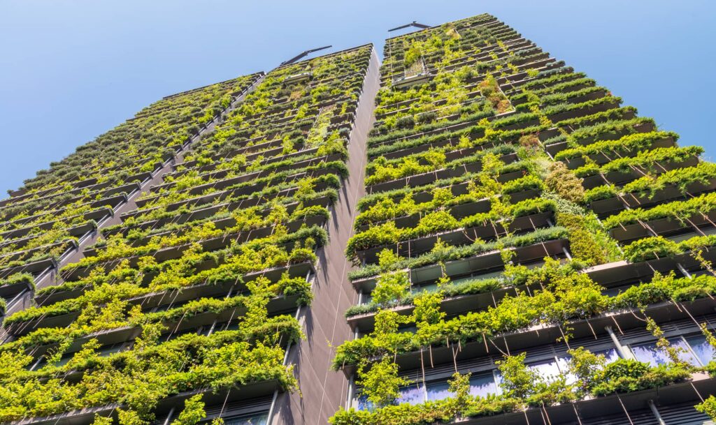 معيشة مستدامة