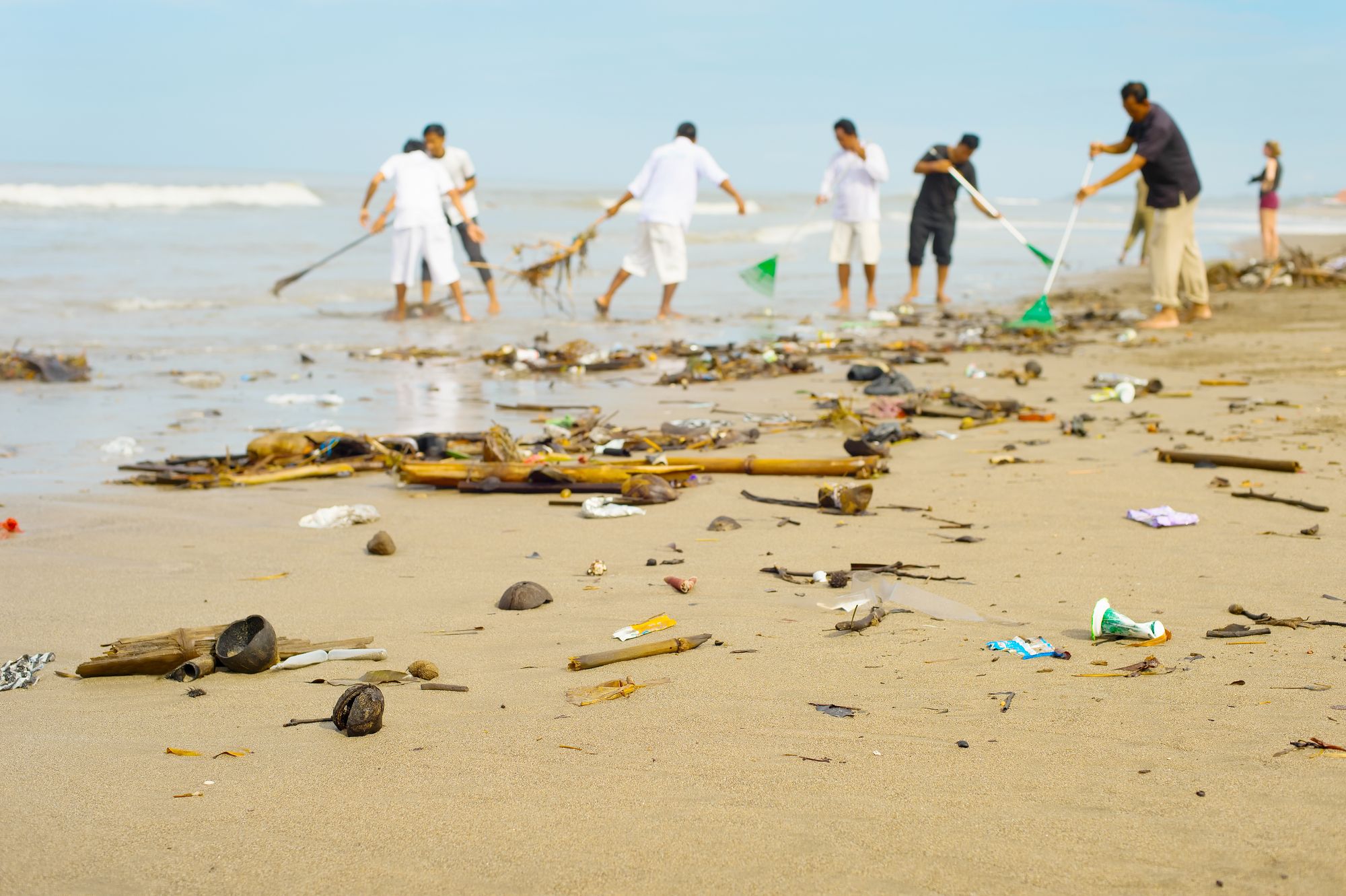 البلاستيك على الشواطئ: كيفية تنظيم تنظيف الشاطئ - جامعي البلاستيك