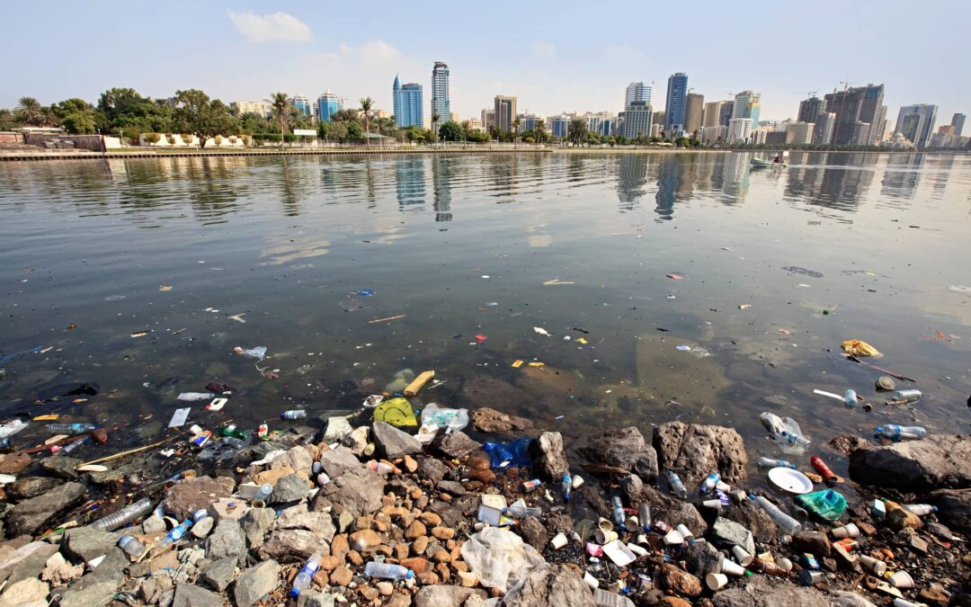 Water Pollution Solutions: 5 Simple Things You Can Do